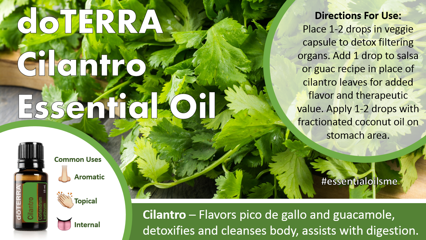 doterra cilantro essential oil