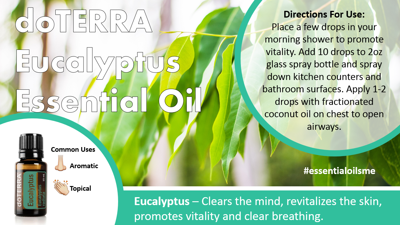 doterra eucalyptus essential oil