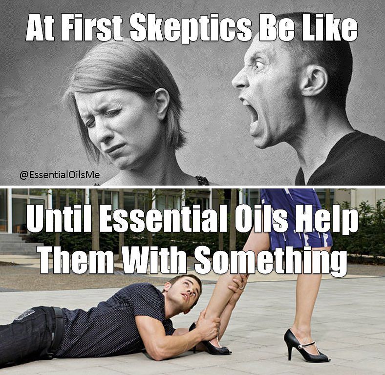 skeptics guide
