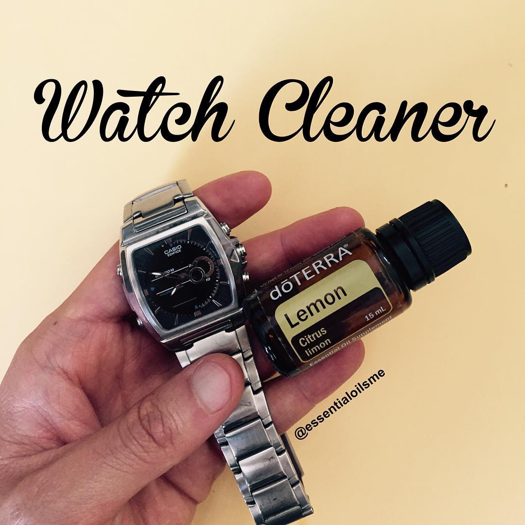 stainless steel watch cleaner