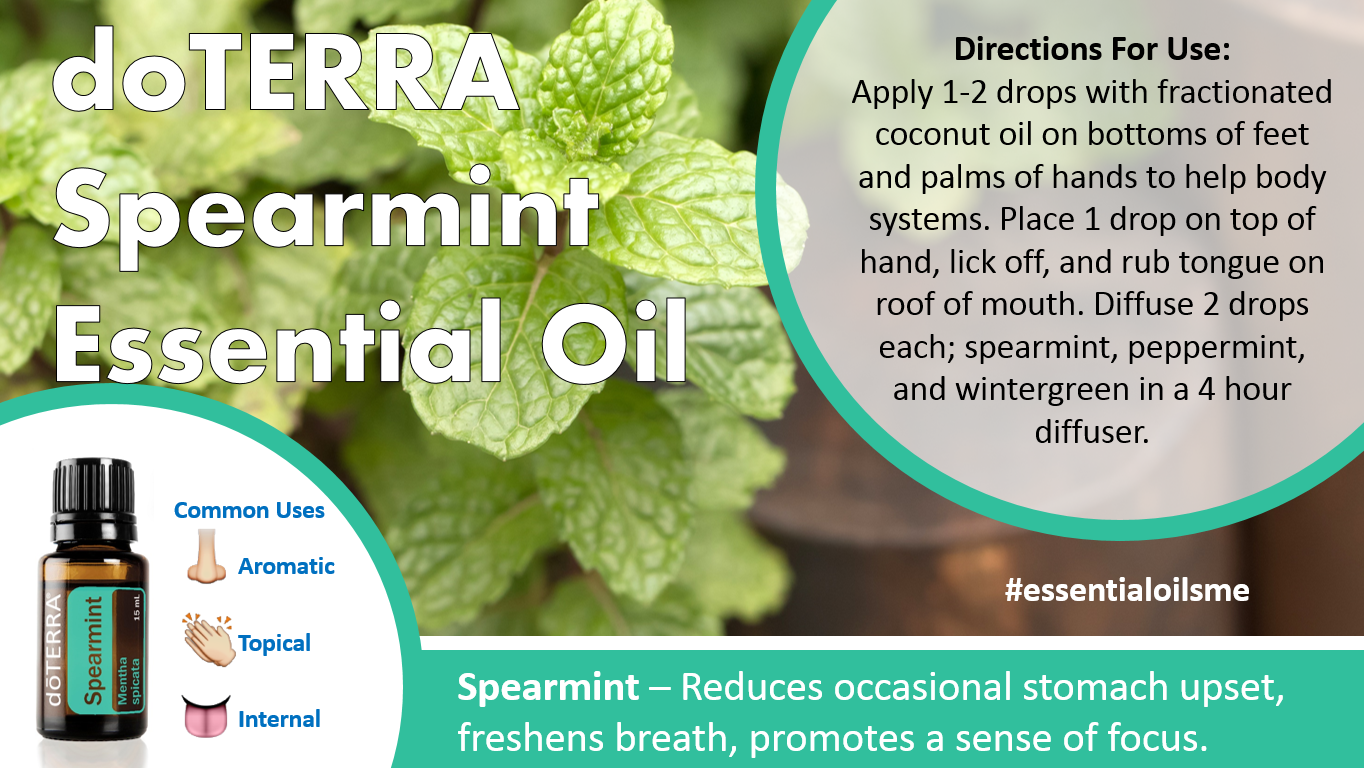 doterra spearmint essential oil