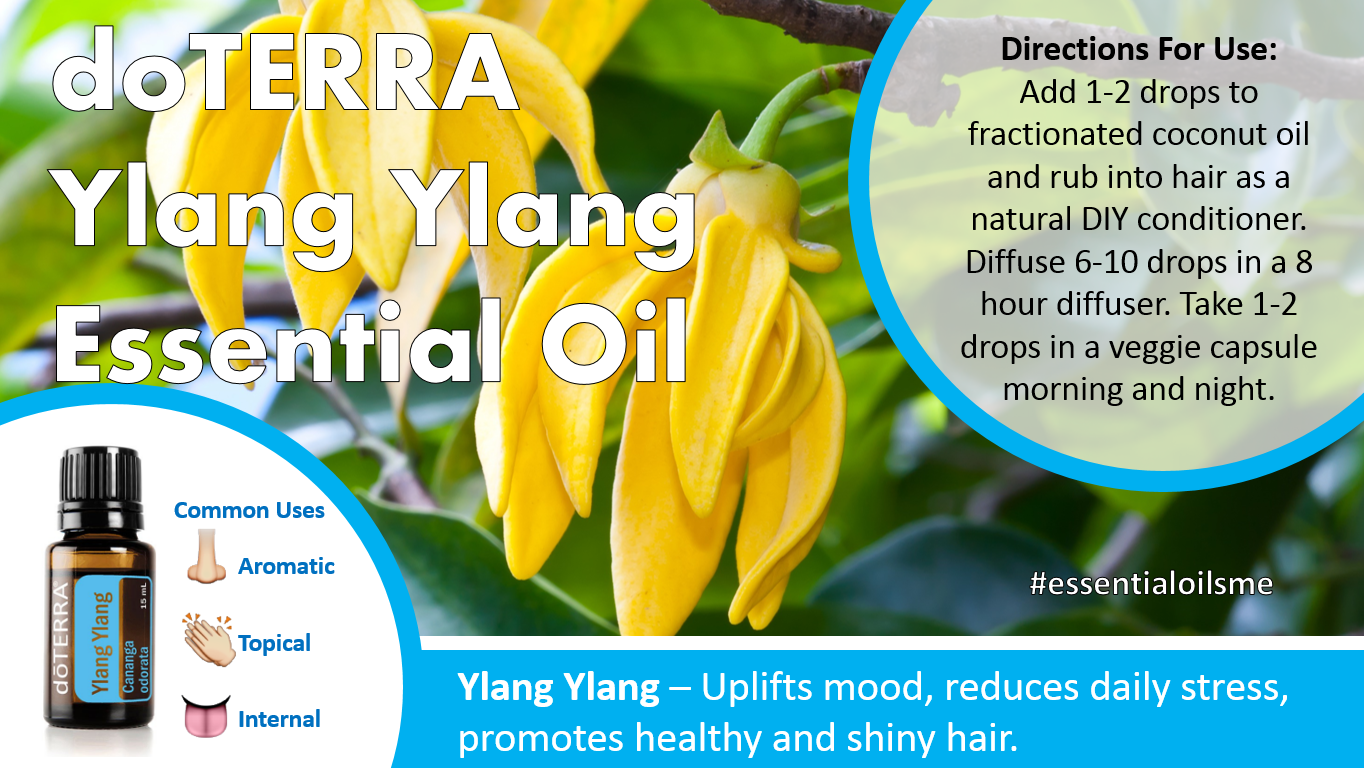 Doterra Ylang Ylang Essential Oil Uses 